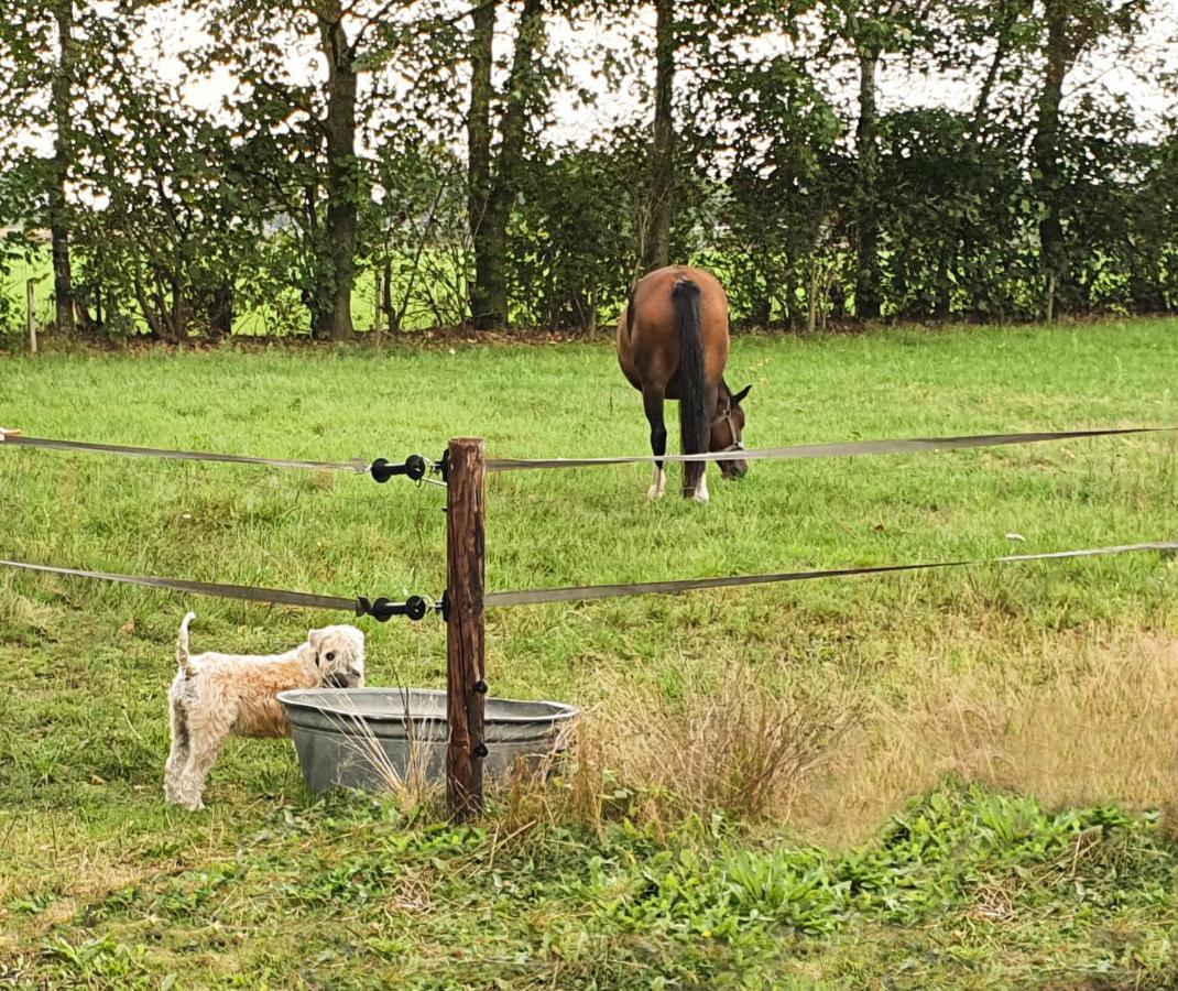 B&B De Nieuwenhof 'De Voorkamer' Melderslo Buitenkant foto