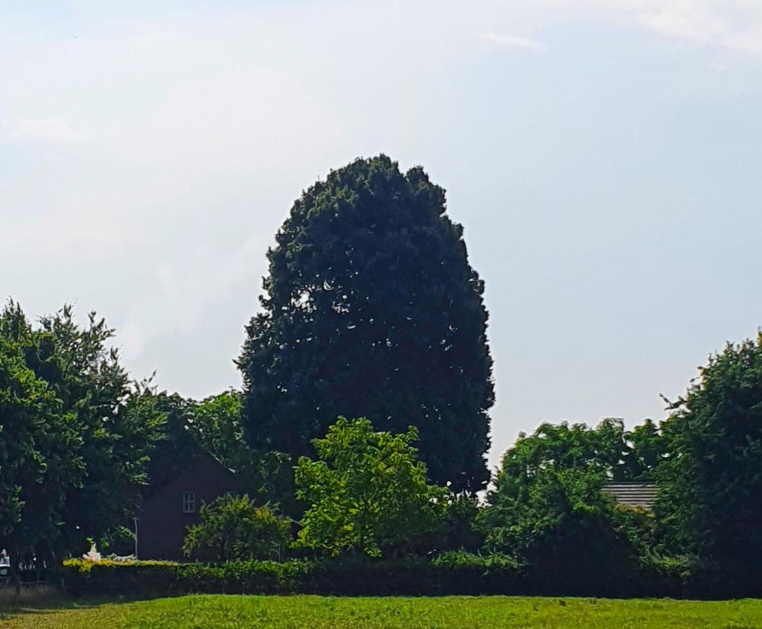 B&B De Nieuwenhof 'De Voorkamer' Melderslo Buitenkant foto