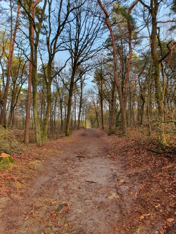 B&B De Nieuwenhof 'De Voorkamer' Melderslo Buitenkant foto