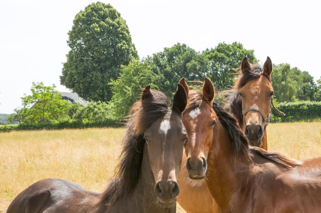 B&B De Nieuwenhof 'De Voorkamer' Melderslo Buitenkant foto